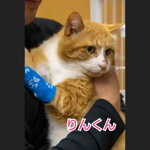 天王山 安楽寺(福井県)