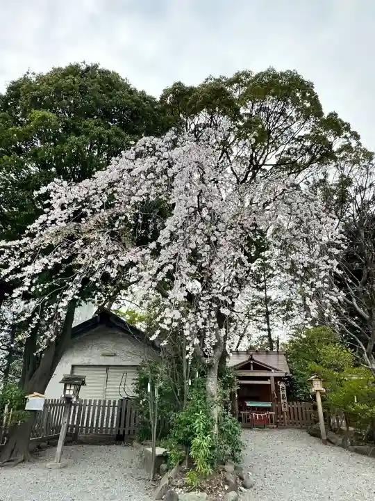伊勢山皇大神宮(神奈川県)