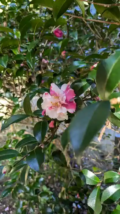岩船寺(京都府)