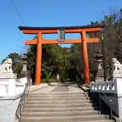 稲毛浅間神社の鳥居