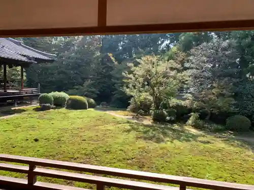 隨心院（随心院）の庭園