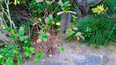 名號山 専唱院の自然