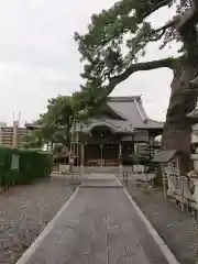 大慶寺の本殿