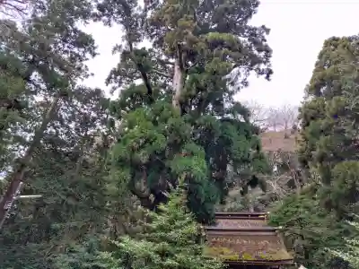 若狭姫神社（若狭彦神社下社）の{uncategorized: "未分類", other: "その他", undefined: "問題あり", building: "その他建物", grave: "お墓", sacred_gate: "鳥居", guardian: "狛犬", statue: "像", buddha: "仏像", history: "歴史", nature: "自然", garden: "庭園", animal: "動物", pagoda: "塔", temizu: "手水舎", mountain_gate: "山門・神門", sanctuary: "本殿・本堂", subordinate: "末社・摂社", art: "芸術", scenery: "景色", jizo: "地蔵", ema: "絵馬", goshuin: "御朱印", omikuji: "おみくじ", items: "授与品その他", amulet: "お守り", goshuincho: "御朱印帳", eats: "食事", festival: "お祭り", votive_dance: "神楽", shichigosan: "七五三参", wedding: "結婚式", experience: "体験その他", initially: "初詣", around: "周辺", anti_infection: "感染症対策"}