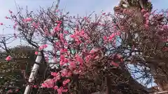 北野神社の自然