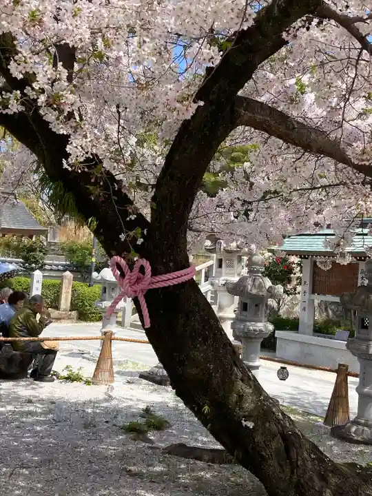 伊和志津神社(兵庫県)