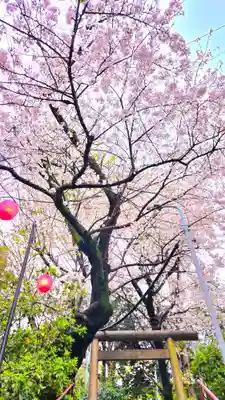 上目黒氷川神社(東京都)