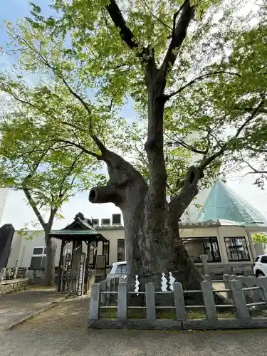 阿邪訶根神社の{uncategorized: "未分類", other: "その他", undefined: "問題あり", building: "その他建物", grave: "お墓", sacred_gate: "鳥居", guardian: "狛犬", statue: "像", buddha: "仏像", history: "歴史", nature: "自然", garden: "庭園", animal: "動物", pagoda: "塔", temizu: "手水舎", mountain_gate: "山門・神門", sanctuary: "本殿・本堂", subordinate: "末社・摂社", art: "芸術", scenery: "景色", jizo: "地蔵", ema: "絵馬", goshuin: "御朱印", omikuji: "おみくじ", items: "授与品その他", amulet: "お守り", goshuincho: "御朱印帳", eats: "食事", festival: "お祭り", votive_dance: "神楽", shichigosan: "七五三参", wedding: "結婚式", experience: "体験その他", initially: "初詣", around: "周辺", anti_infection: "感染症対策"}