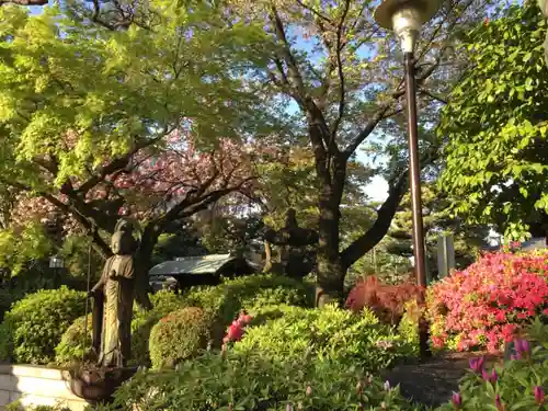 護国寺の庭園