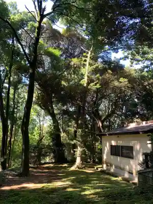 八幡神社(千葉県)