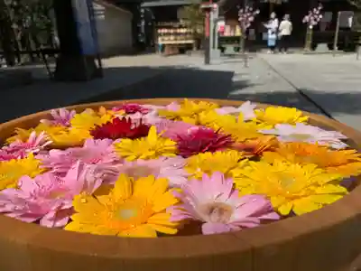滑川神社 - 仕事と子どもの守り神(福島県)