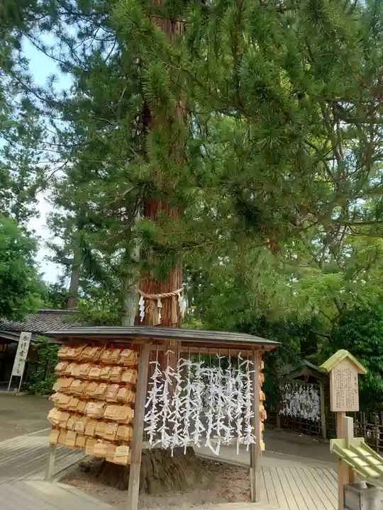 大崎八幡宮(宮城県)