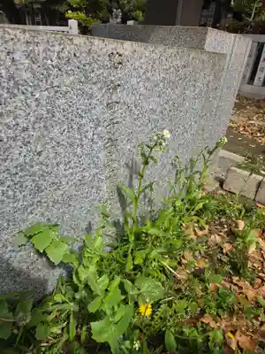 八劔神社(東京都)