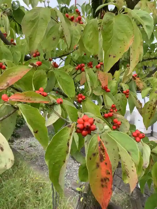 神社(祭神不明)(岐阜県)