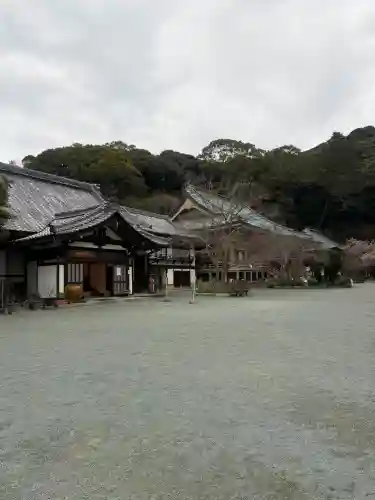 鎮國寺の{uncategorized: "未分類", other: "その他", undefined: "問題あり", building: "その他建物", grave: "お墓", sacred_gate: "鳥居", guardian: "狛犬", statue: "像", buddha: "仏像", history: "歴史", nature: "自然", garden: "庭園", animal: "動物", pagoda: "塔", temizu: "手水舎", mountain_gate: "山門・神門", sanctuary: "本殿・本堂", subordinate: "末社・摂社", art: "芸術", scenery: "景色", jizo: "地蔵", ema: "絵馬", goshuin: "御朱印", omikuji: "おみくじ", items: "授与品その他", amulet: "お守り", goshuincho: "御朱印帳", eats: "食事", festival: "お祭り", votive_dance: "神楽", shichigosan: "七五三参", wedding: "結婚式", experience: "体験その他", initially: "初詣", around: "周辺", anti_infection: "感染症対策"}