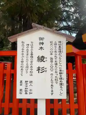 香椎宮の{uncategorized: "未分類", other: "その他", undefined: "問題あり", building: "その他建物", grave: "お墓", sacred_gate: "鳥居", guardian: "狛犬", statue: "像", buddha: "仏像", history: "歴史", nature: "自然", garden: "庭園", animal: "動物", pagoda: "塔", temizu: "手水舎", mountain_gate: "山門・神門", sanctuary: "本殿・本堂", subordinate: "末社・摂社", art: "芸術", scenery: "景色", jizo: "地蔵", ema: "絵馬", goshuin: "御朱印", omikuji: "おみくじ", items: "授与品その他", amulet: "お守り", goshuincho: "御朱印帳", eats: "食事", festival: "お祭り", votive_dance: "神楽", shichigosan: "七五三参", wedding: "結婚式", experience: "体験その他", initially: "初詣", around: "周辺", anti_infection: "感染症対策"}