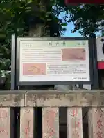 白幡神社の{uncategorized: "未分類", other: "その他", undefined: "問題あり", building: "その他建物", grave: "お墓", sacred_gate: "鳥居", guardian: "狛犬", statue: "像", buddha: "仏像", history: "歴史", nature: "自然", garden: "庭園", animal: "動物", pagoda: "塔", temizu: "手水舎", mountain_gate: "山門・神門", sanctuary: "本殿・本堂", subordinate: "末社・摂社", art: "芸術", scenery: "景色", jizo: "地蔵", ema: "絵馬", goshuin: "御朱印", omikuji: "おみくじ", items: "授与品その他", amulet: "お守り", goshuincho: "御朱印帳", eats: "食事", festival: "お祭り", votive_dance: "神楽", shichigosan: "七五三参", wedding: "結婚式", experience: "体験その他", initially: "初詣", around: "周辺", anti_infection: "感染症対策"}
