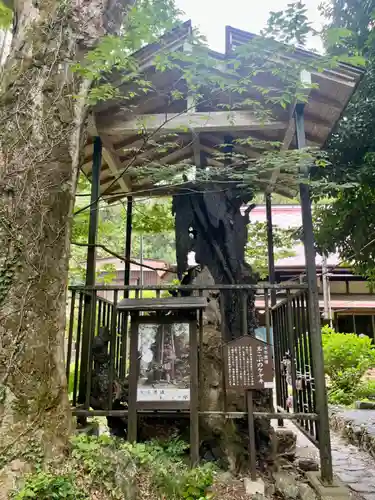 柳津虚空蔵尊 寳性院(宮城県)