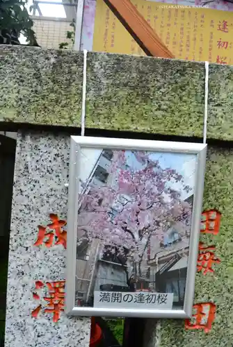 吉原神社(東京都)