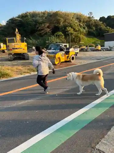 枯木神社(兵庫県)