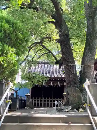千住氷川神社(東京都)