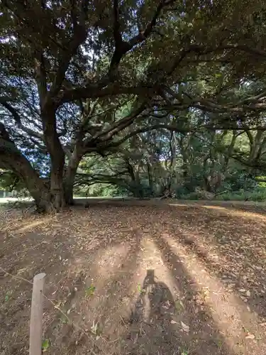 明治神宮(東京都)