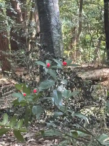 明治神宮(東京都)
