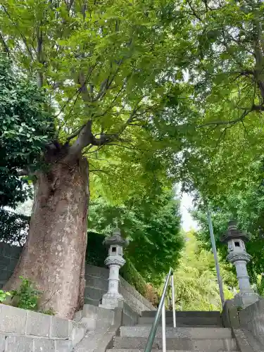 相模國分寺(神奈川県)