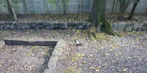 賀茂波爾神社（賀茂御祖神社境外摂社）のその他建物