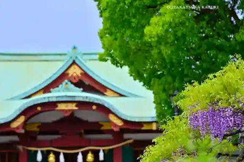 亀戸天神社(東京都)