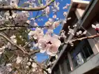 伊勢の国 四天王寺の自然