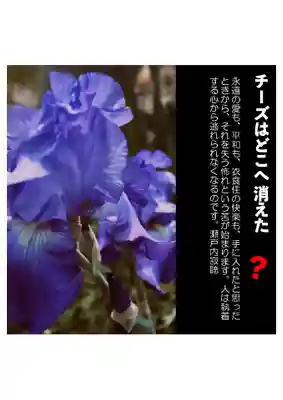 耕田院(山形県)