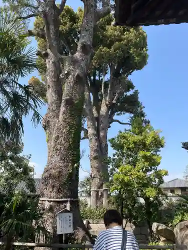 西大寺(岡山県)