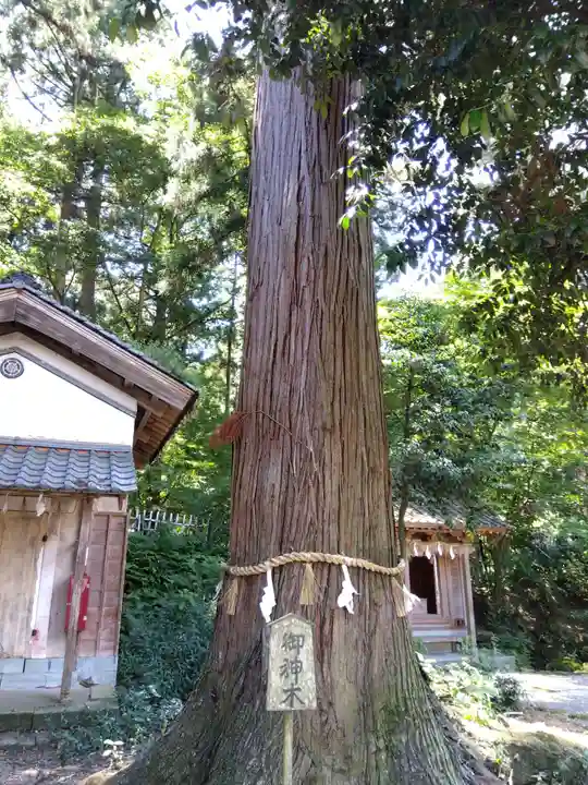劒神社(福井県)