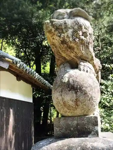 早瀧比咩神社の狛犬