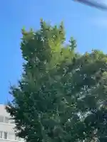 伊勢の国 四天王寺の自然