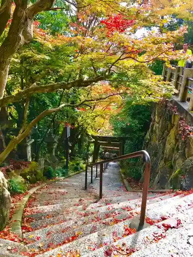 阿賀神社の自然