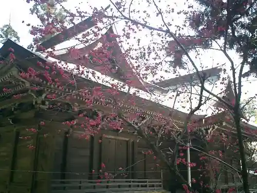 御霊神社の本殿・本堂