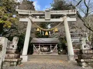 天鷹神社の鳥居(2026年01月01日(木) 22時07分42秒投稿)
