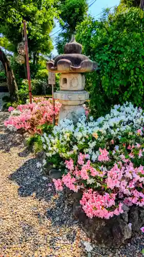 菊田神社の自然