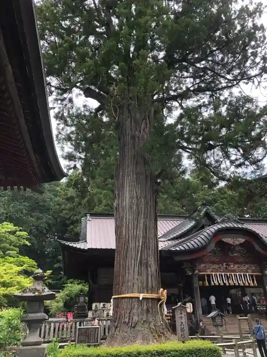 北口本宮冨士浅間神社の{uncategorized: "未分類", other: "その他", undefined: "問題あり", building: "その他建物", grave: "お墓", sacred_gate: "鳥居", guardian: "狛犬", statue: "像", buddha: "仏像", history: "歴史", nature: "自然", garden: "庭園", animal: "動物", pagoda: "塔", temizu: "手水舎", mountain_gate: "山門・神門", sanctuary: "本殿・本堂", subordinate: "末社・摂社", art: "芸術", scenery: "景色", jizo: "地蔵", ema: "絵馬", goshuin: "御朱印", omikuji: "おみくじ", items: "授与品その他", amulet: "お守り", goshuincho: "御朱印帳", eats: "食事", festival: "お祭り", votive_dance: "神楽", shichigosan: "七五三参", wedding: "結婚式", experience: "体験その他", initially: "初詣", around: "周辺", anti_infection: "感染症対策"}