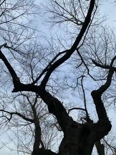 宇賀神さま(福島県)