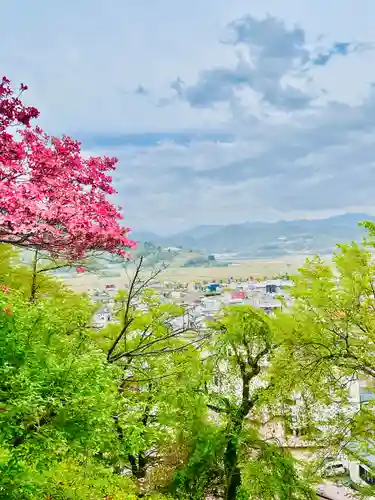 烏帽子山八幡宮(山形県)