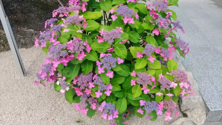 櫛田神社の庭園