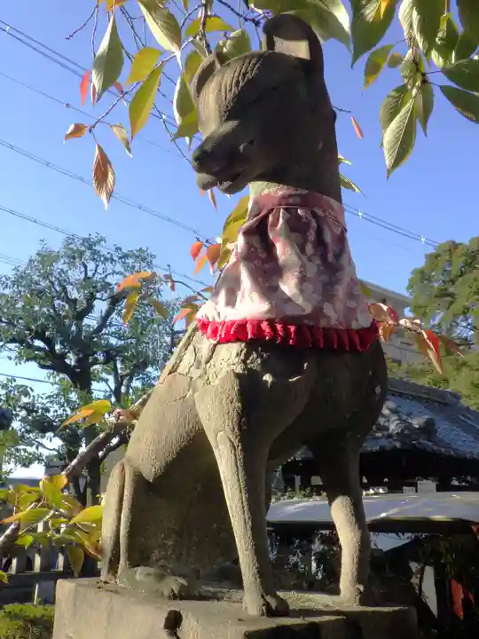 満足稲荷神社の狛犬
