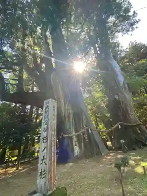 八坂神社(高知県)