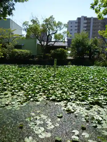 船江上社の景色