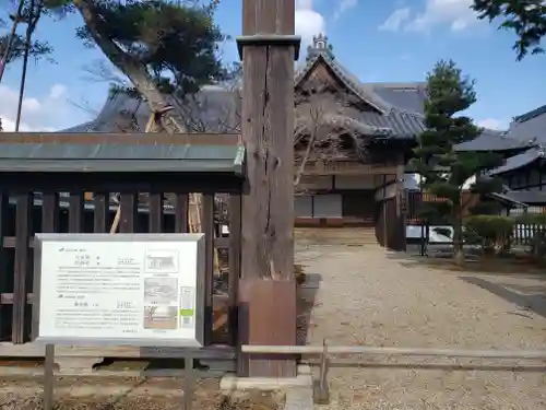 本山専修寺の建物その他