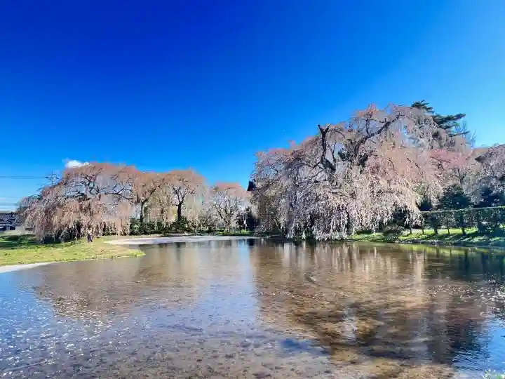 安養寺(長野県)