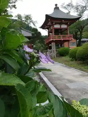 宝蔵寺のその他建物